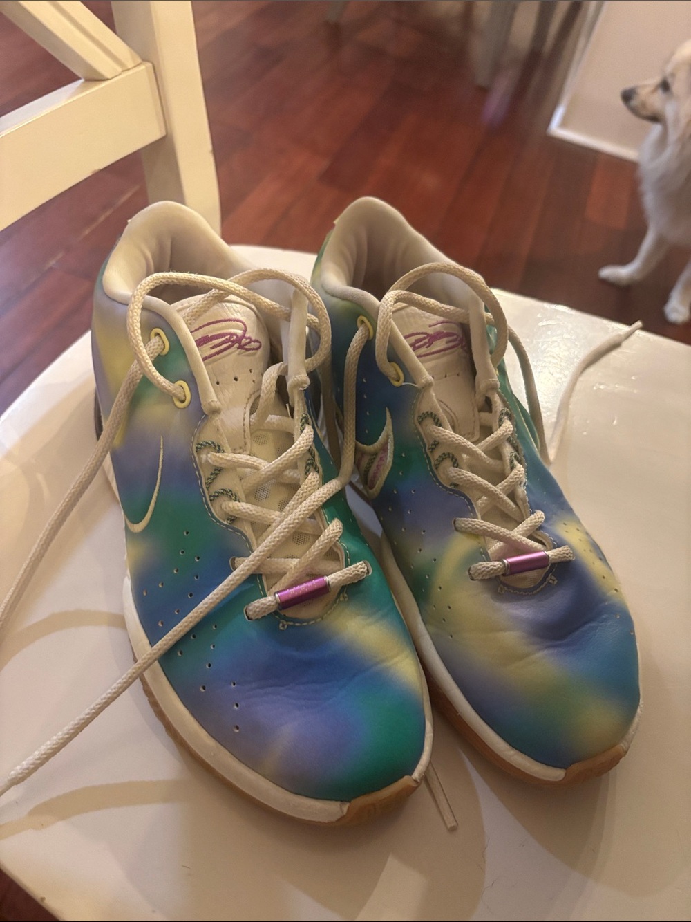 Lebron 21 basketball shoes “movie night” style